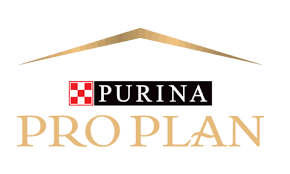 Pro Plan