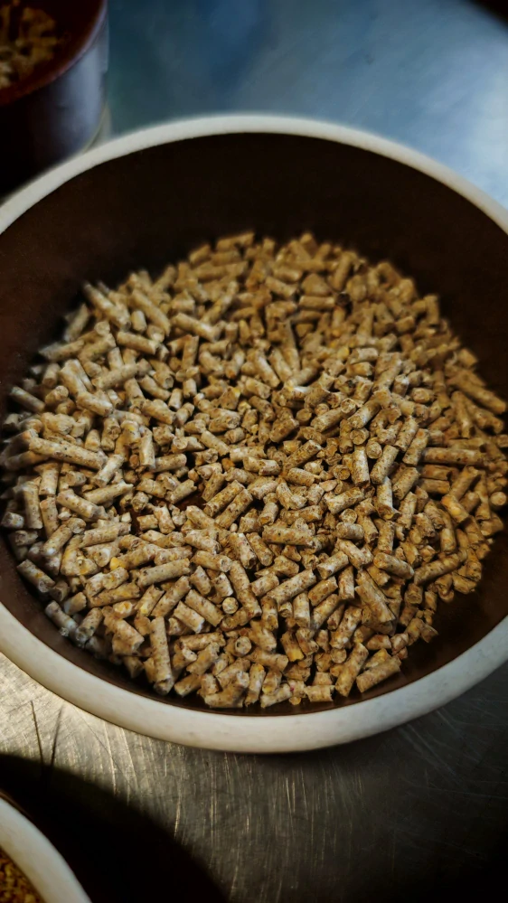 Slovetra Nosnice 25Kg granulované