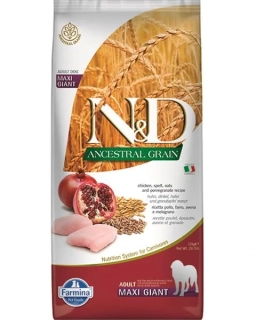 Farmina N&D dog PUMPKIN (GF) adult medium & maxi, lamb & blueberry 12 kg